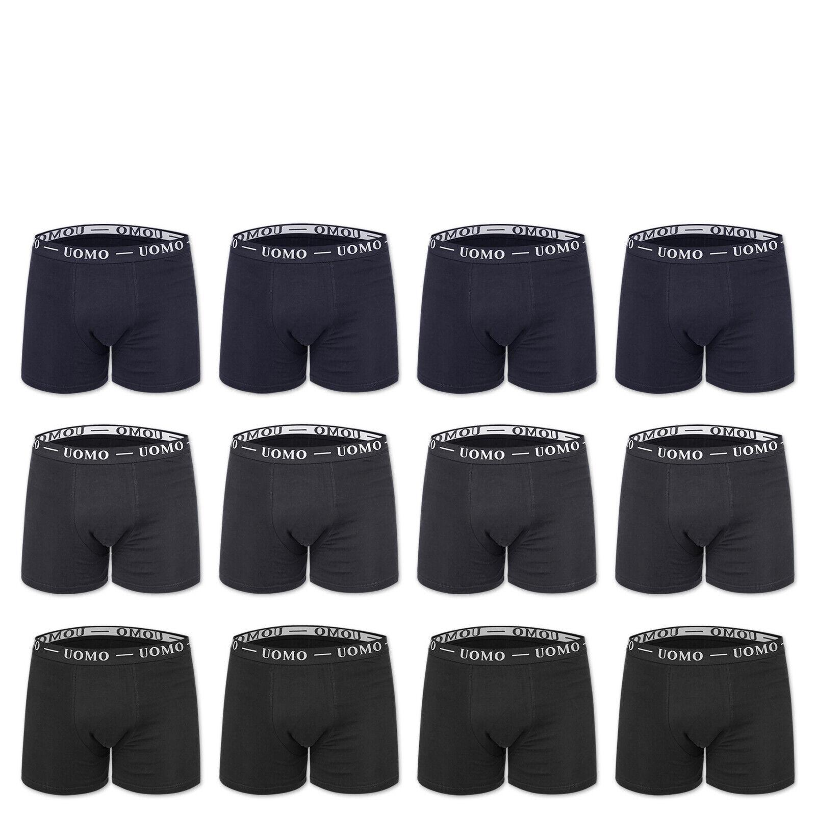 Set 24 PZ Boxer