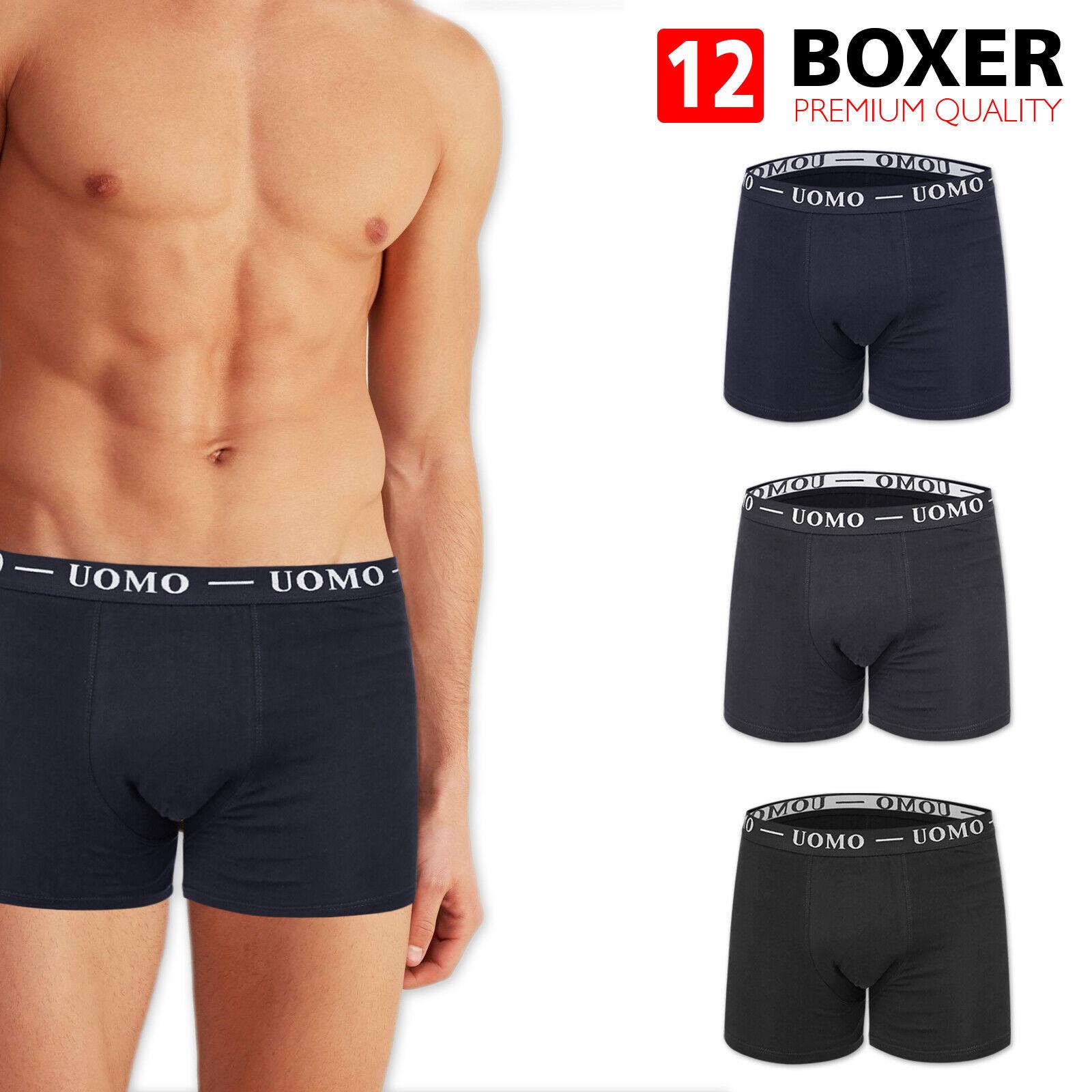 Set 12 PZ Boxer